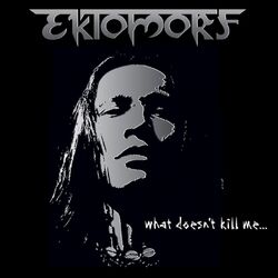 Cover of What Doesn't Kill Me...