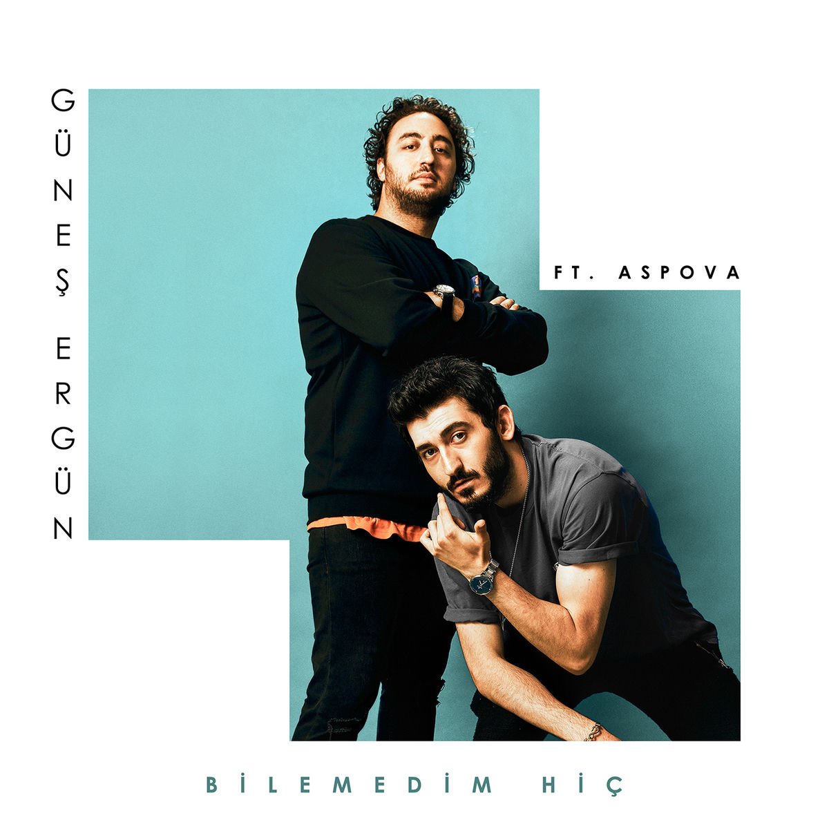 Album cover of Bilemedim Hiç