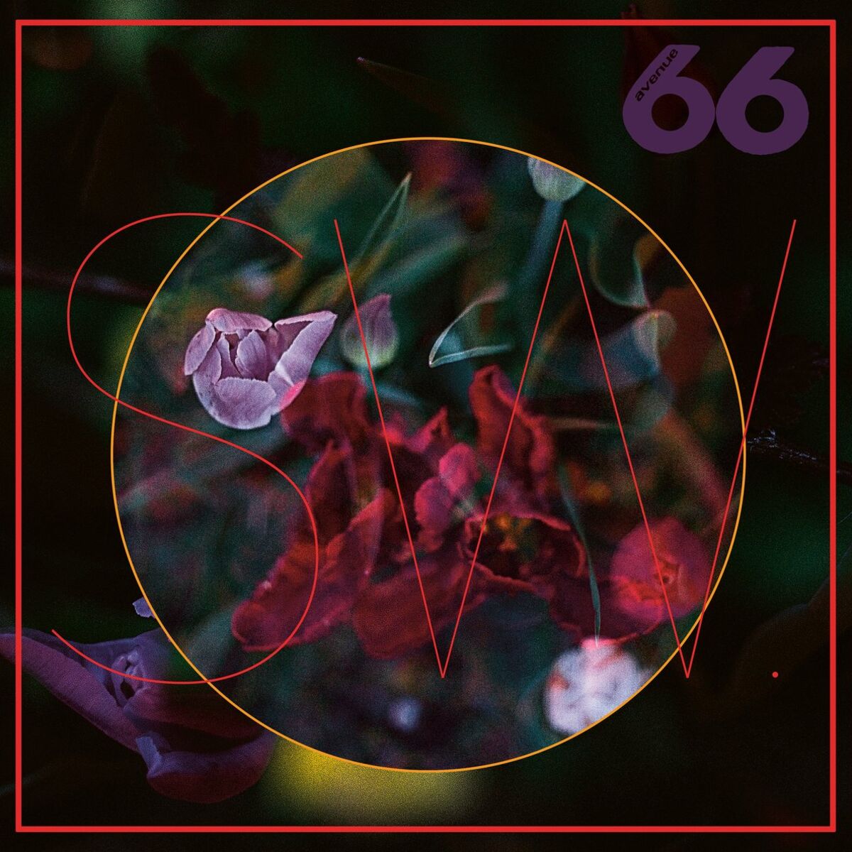 Album cover of TRUElipS