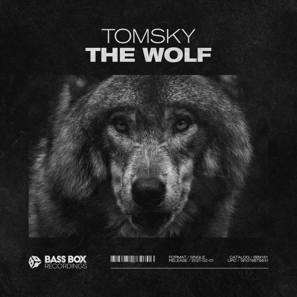 Picture of The Wolf