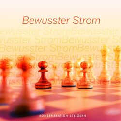 Cover of Bewusster Strom