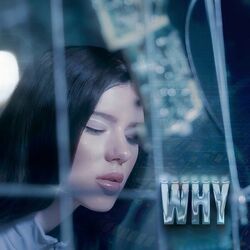 Cover of Why