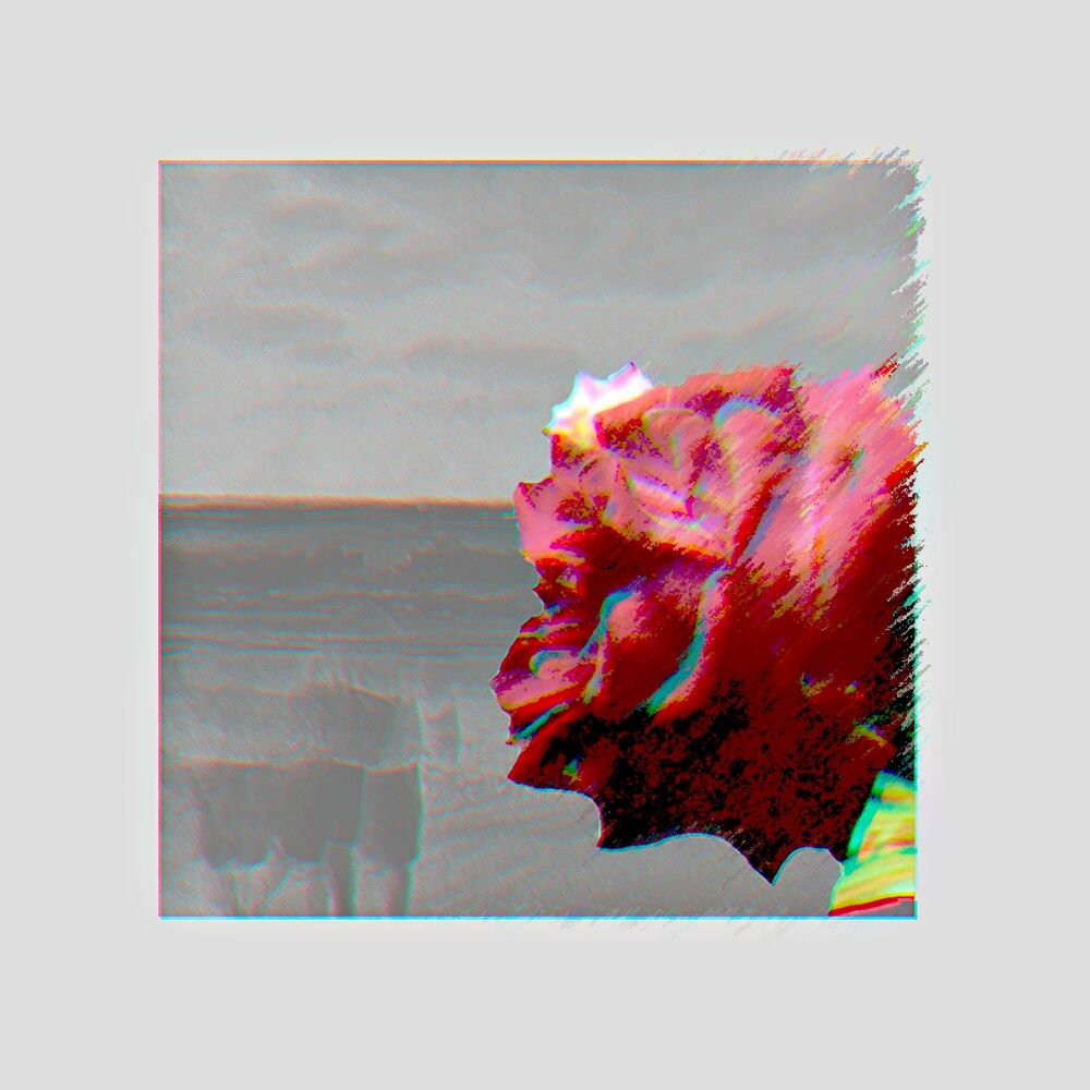 Picture of Falling
