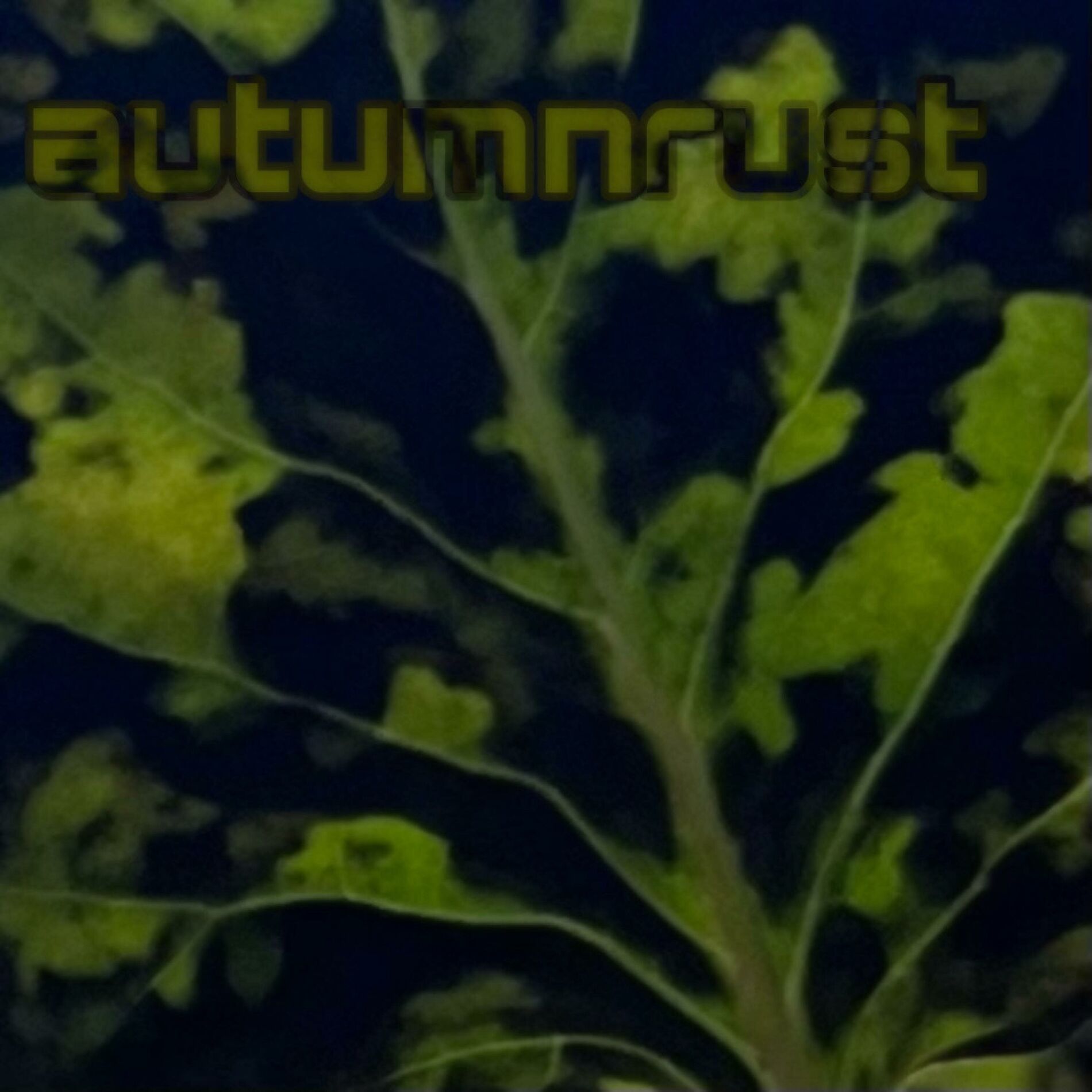 Album cover of autumnrust