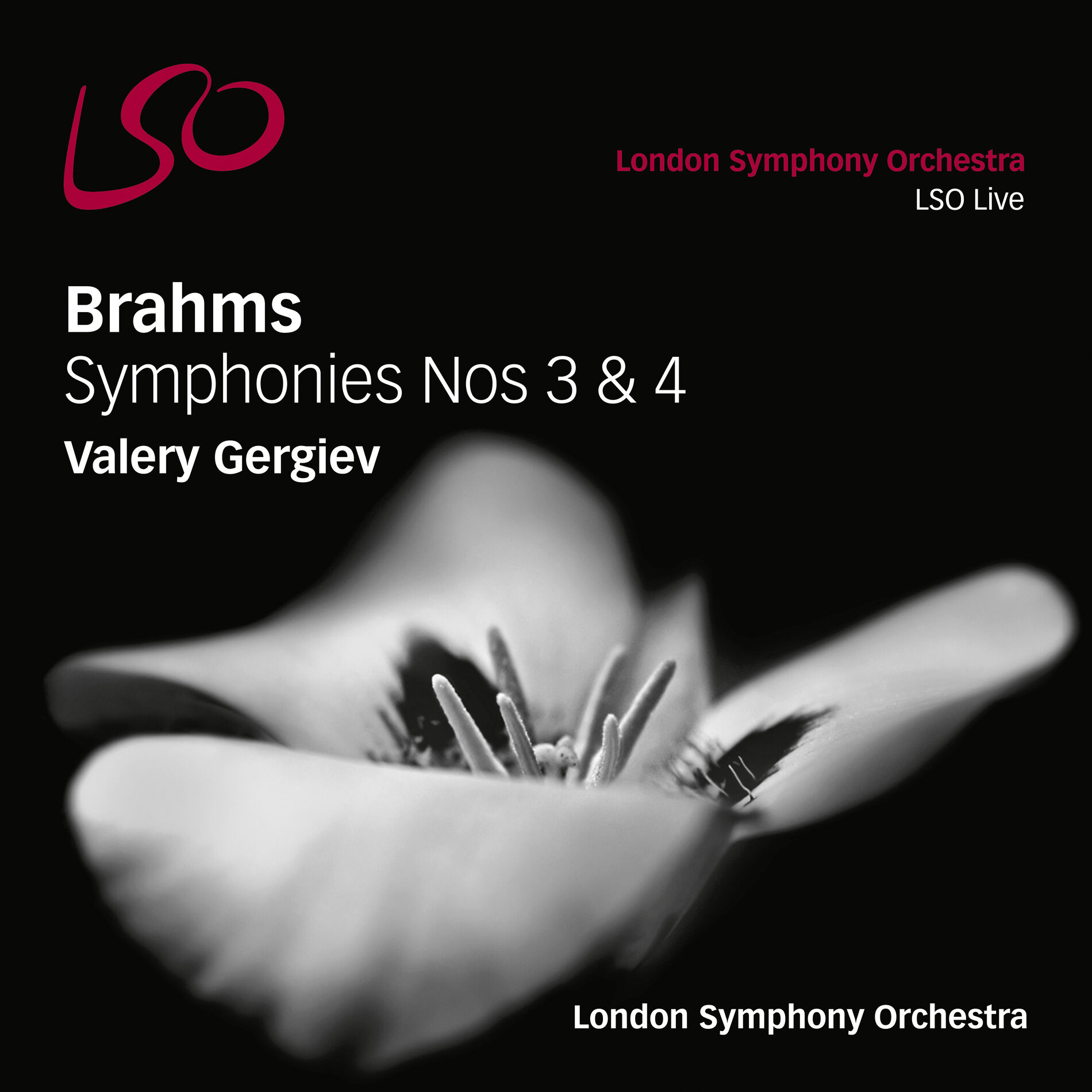 Album cover of Symphony No. 3 in F Major, Op. 90: III. Poco allegretto