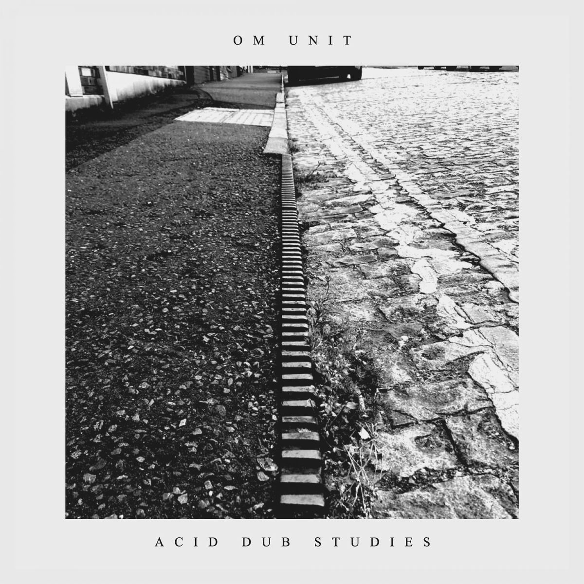 Album cover of Acid Dub Studies