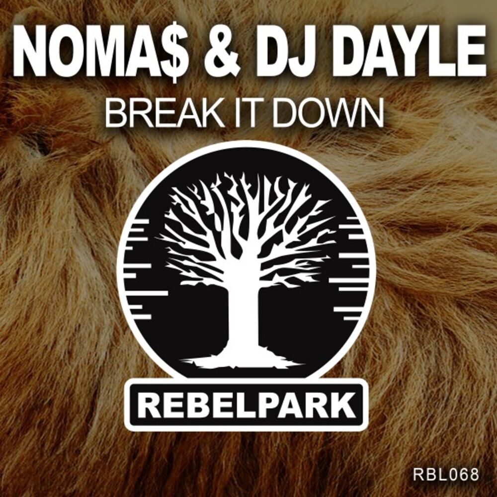 Picture of Break It Down
