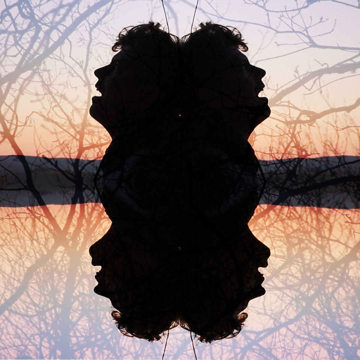 Album cover of In the Mirror