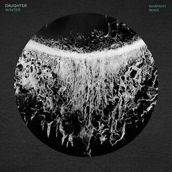 Cover of Winter (Warpaint Remix)