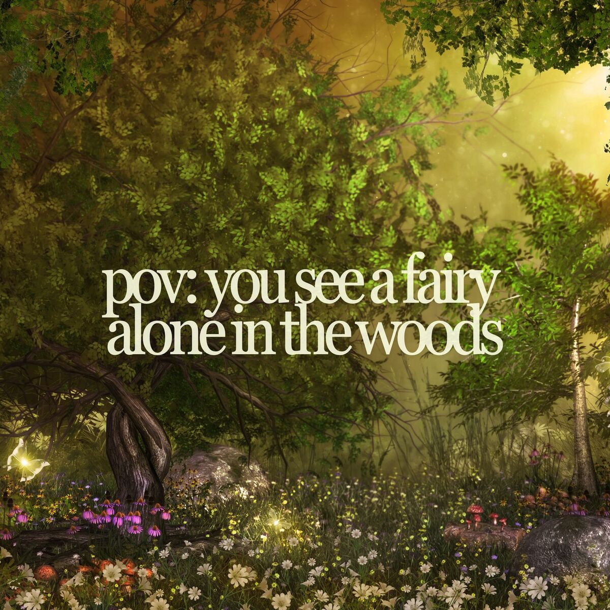 Album cover of pov: you see a fairy dancing alone in the woods