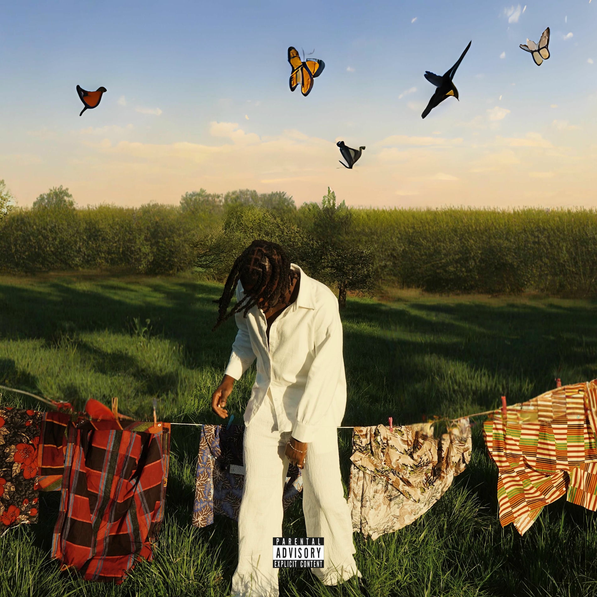 Album cover of Hue & Heart