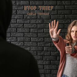 Stop Thief
