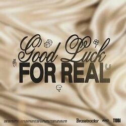 Cover of Good Luck For Real