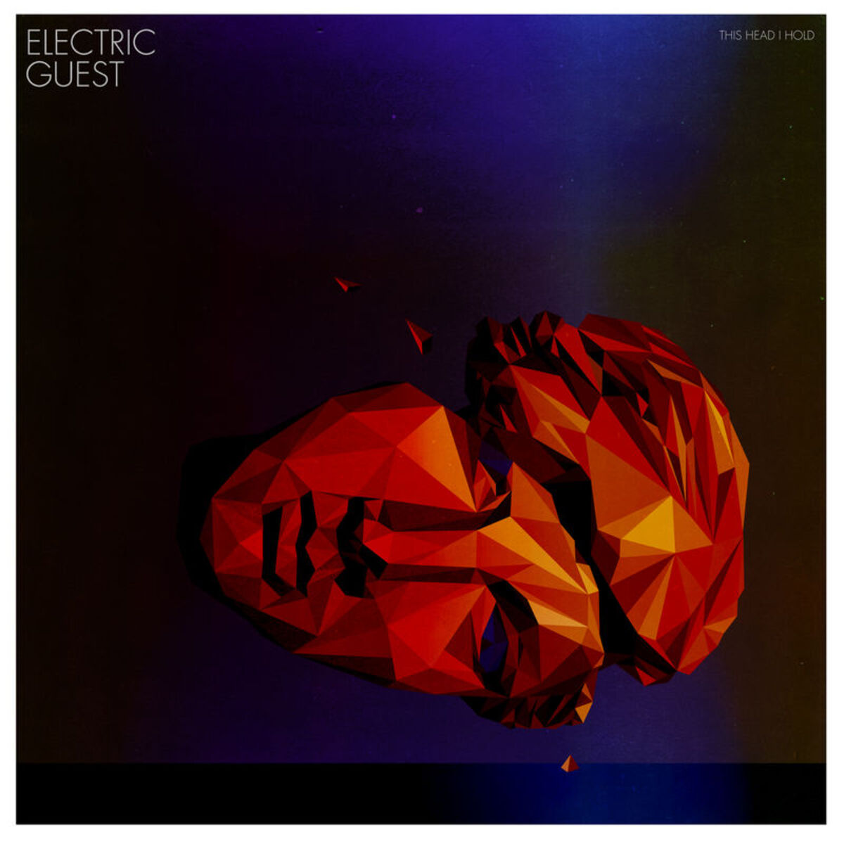 Album cover of This Head I Hold