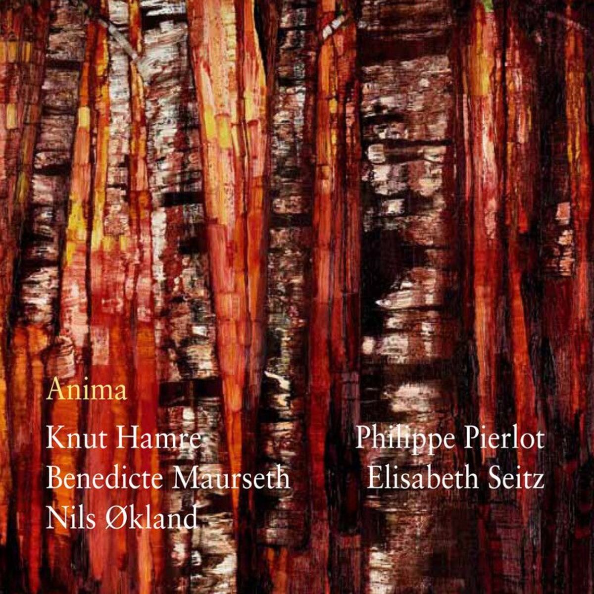 Album cover of Anima