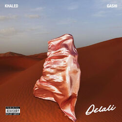 Cover of Delali