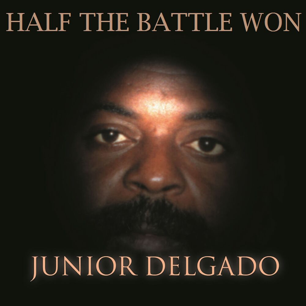Picture of Half The Battle Won