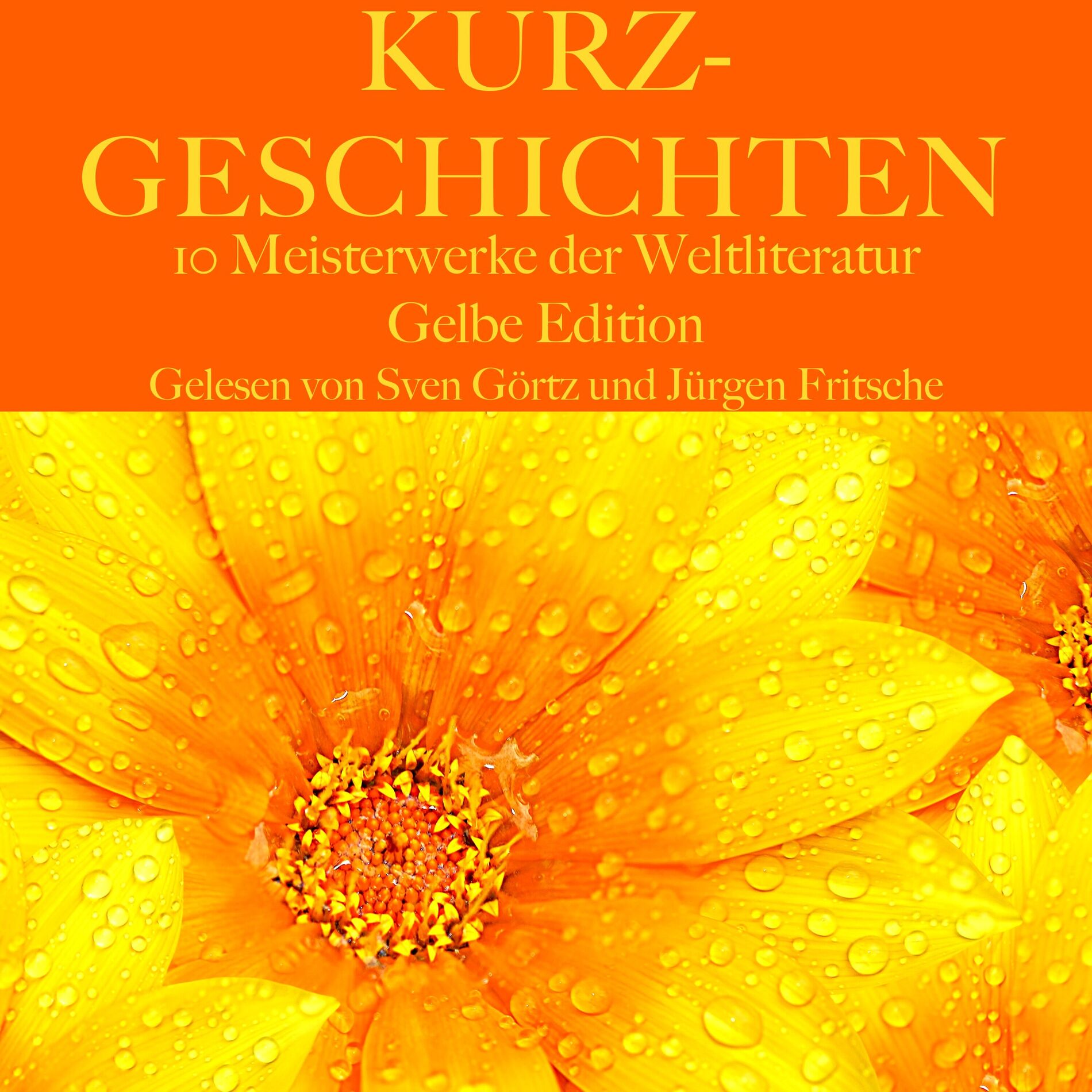 Album cover of Kurzgeschichten: Zehn Meisterwerke der Weltliteratur (Gelbe Edition)