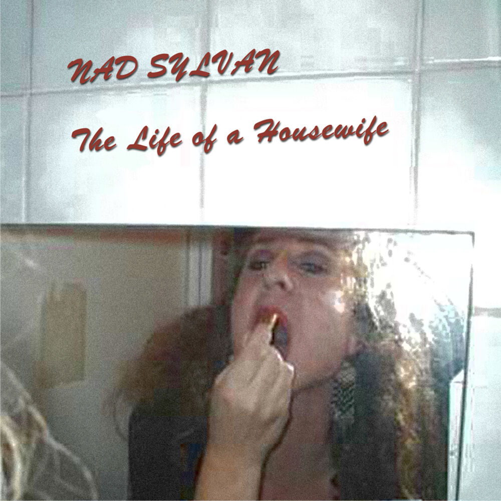 Picture of The Life of a Housewife