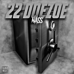 Cover of 22 Doezoe