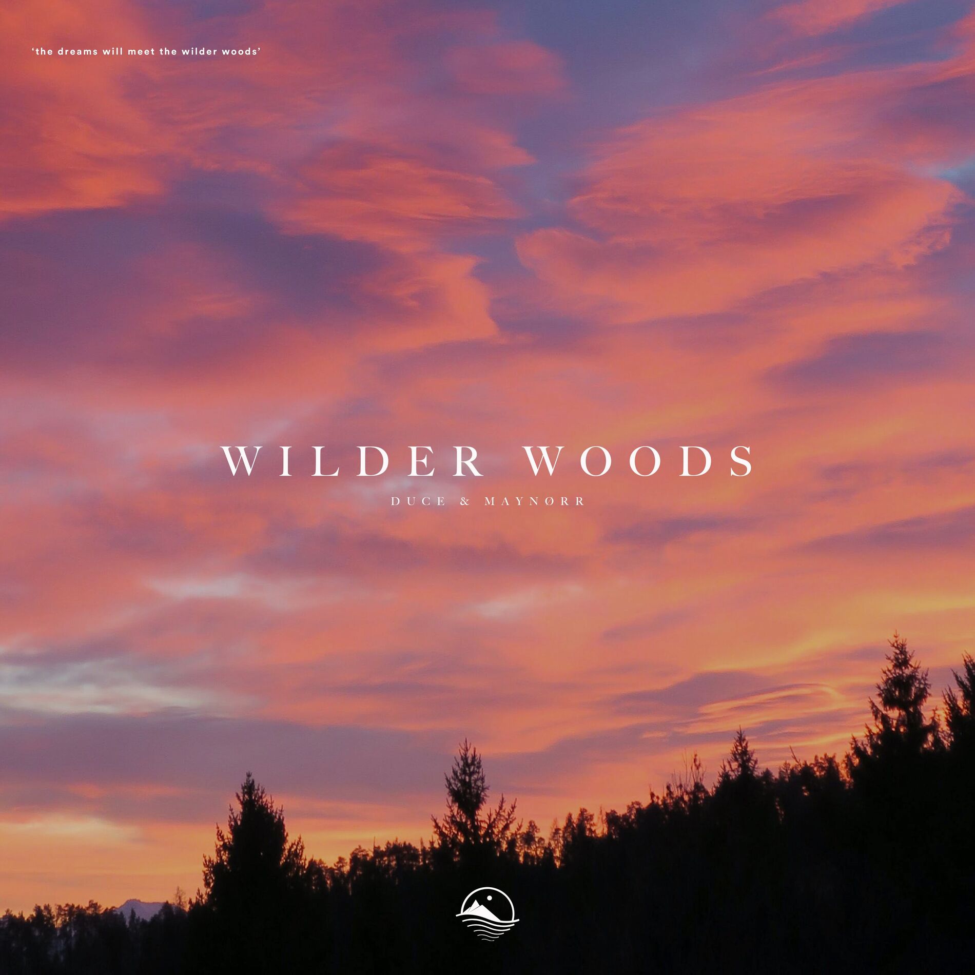 Album cover of Wilder Woods