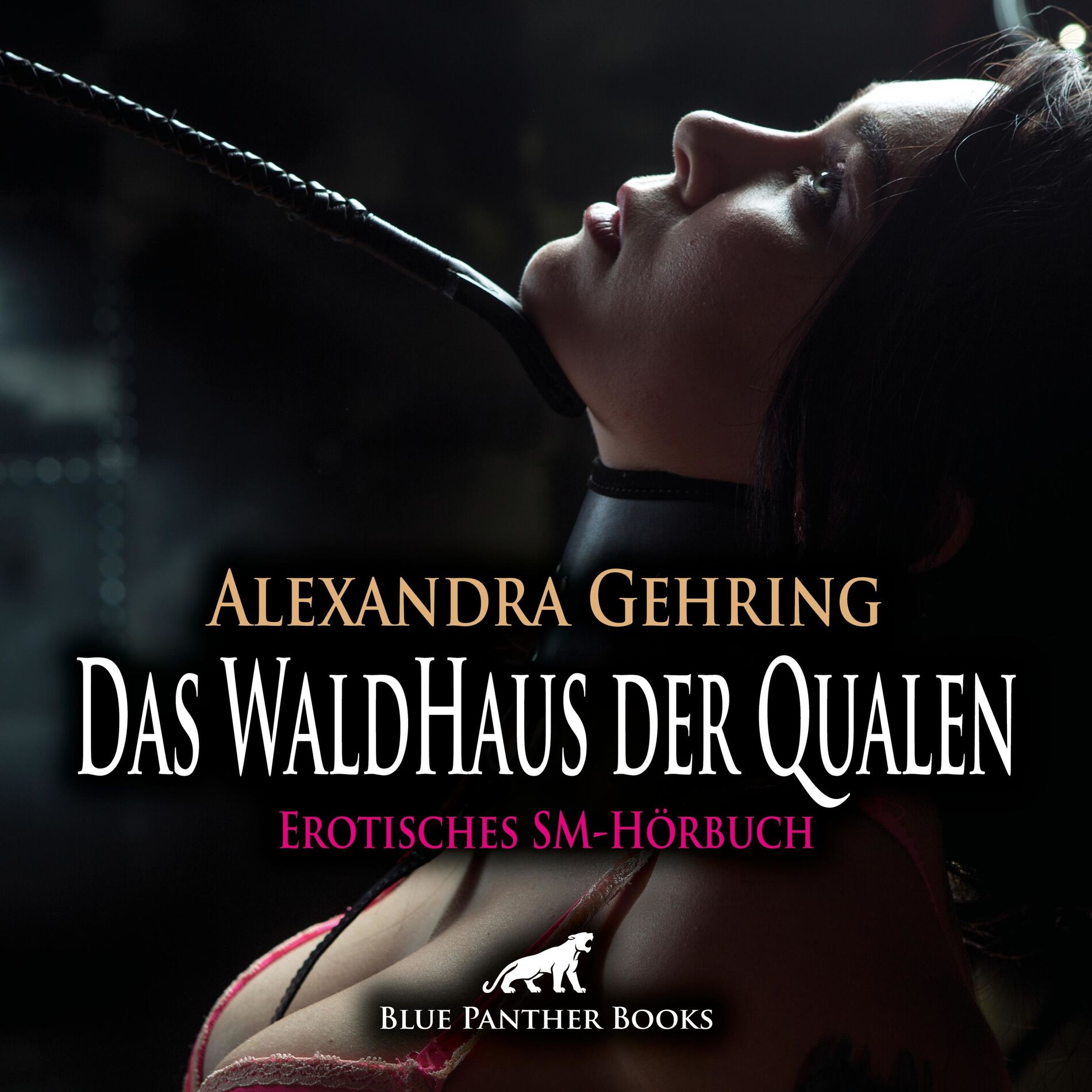 Album cover of Das WaldHaus der Qualen / Eine gefährliche, aber auch geile Situation ... (ein erotisches Hörbuch von blue panther books mit Sex, Leidenschaft, Erotik, Lust, Hörspiel)