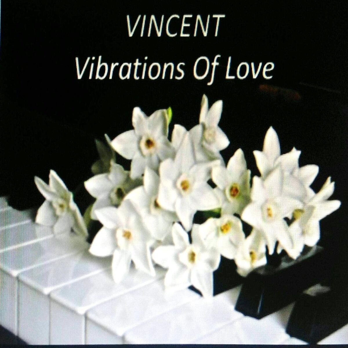 Album cover of Vibrations of Love
