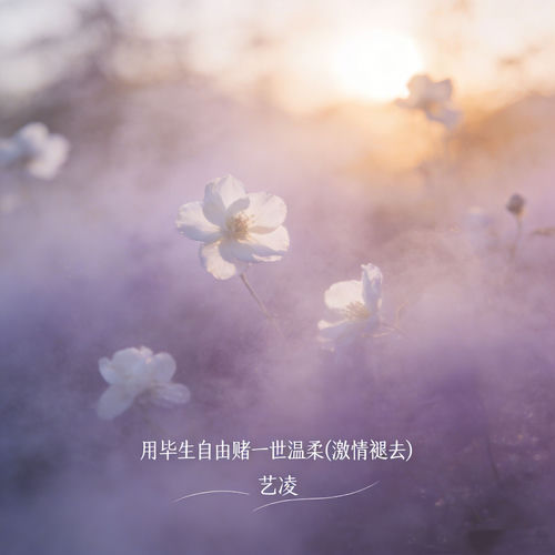 用毕生自由赌一世温柔 (激情褪去)