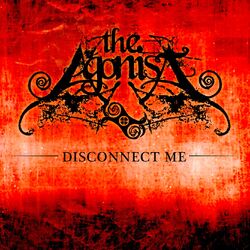 Cover of Disconnect Me