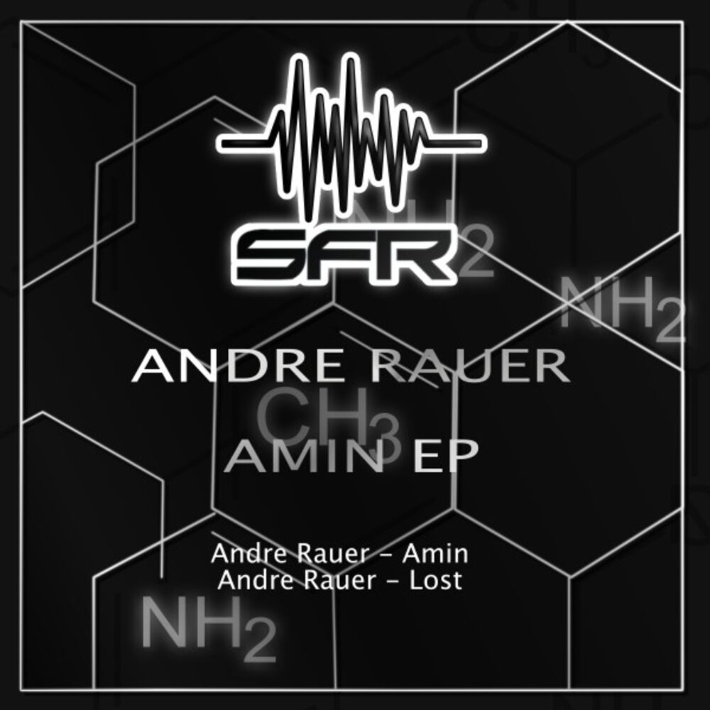 Picture of Amin EP