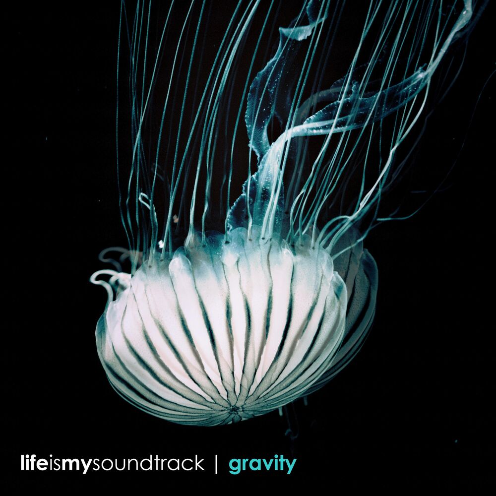 Picture of Gravity