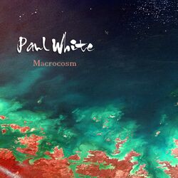 Cover of Macrocosm