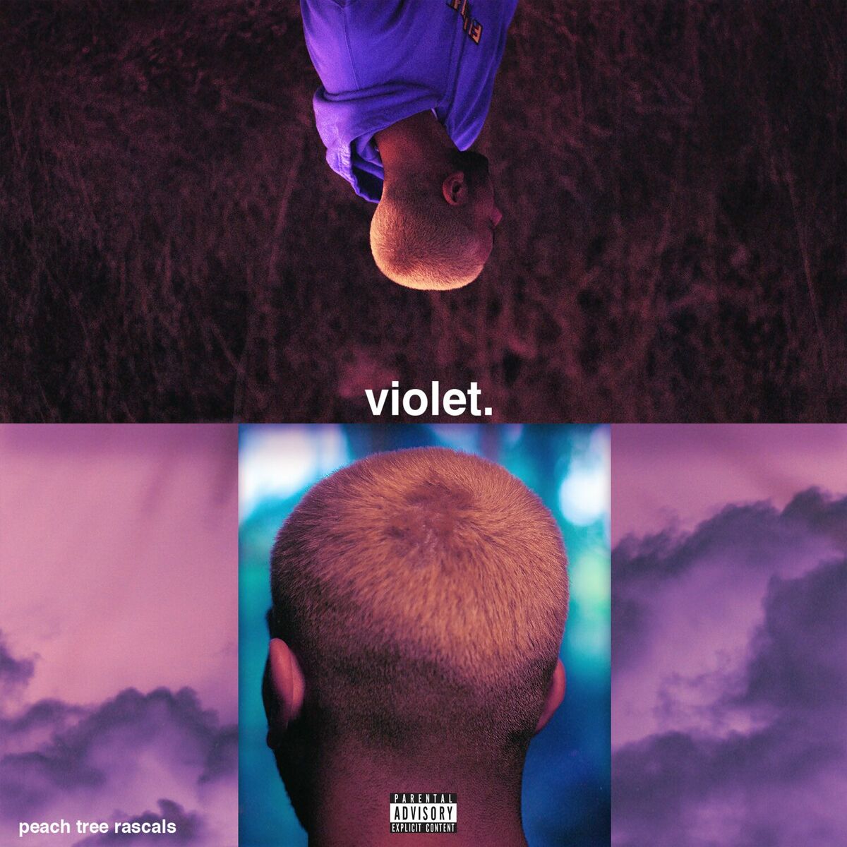 Album cover of Violet