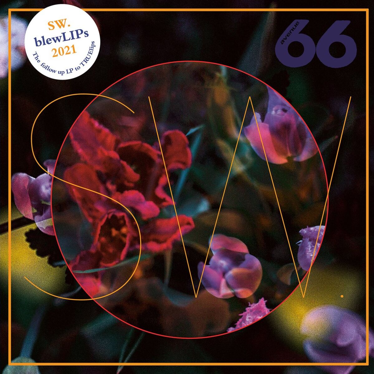 Album cover of blewLIPs
