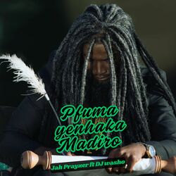 Cover of Pfuma Yenhaka Madiro