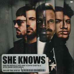 Cover of She Knows (with Akon)