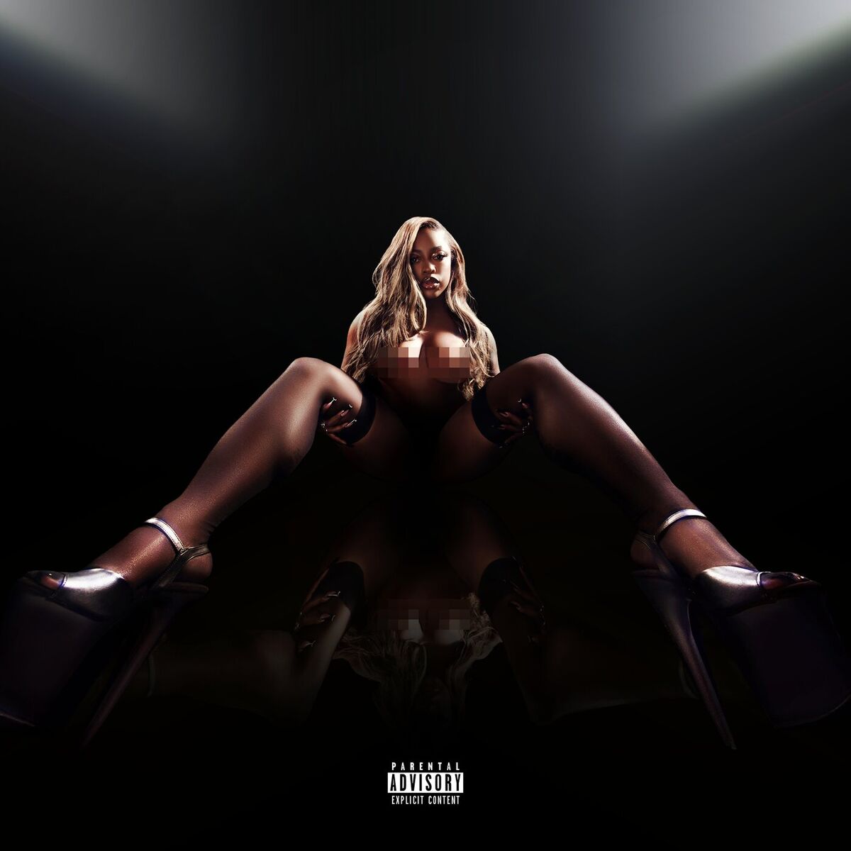 Album cover of The P*ssy Song