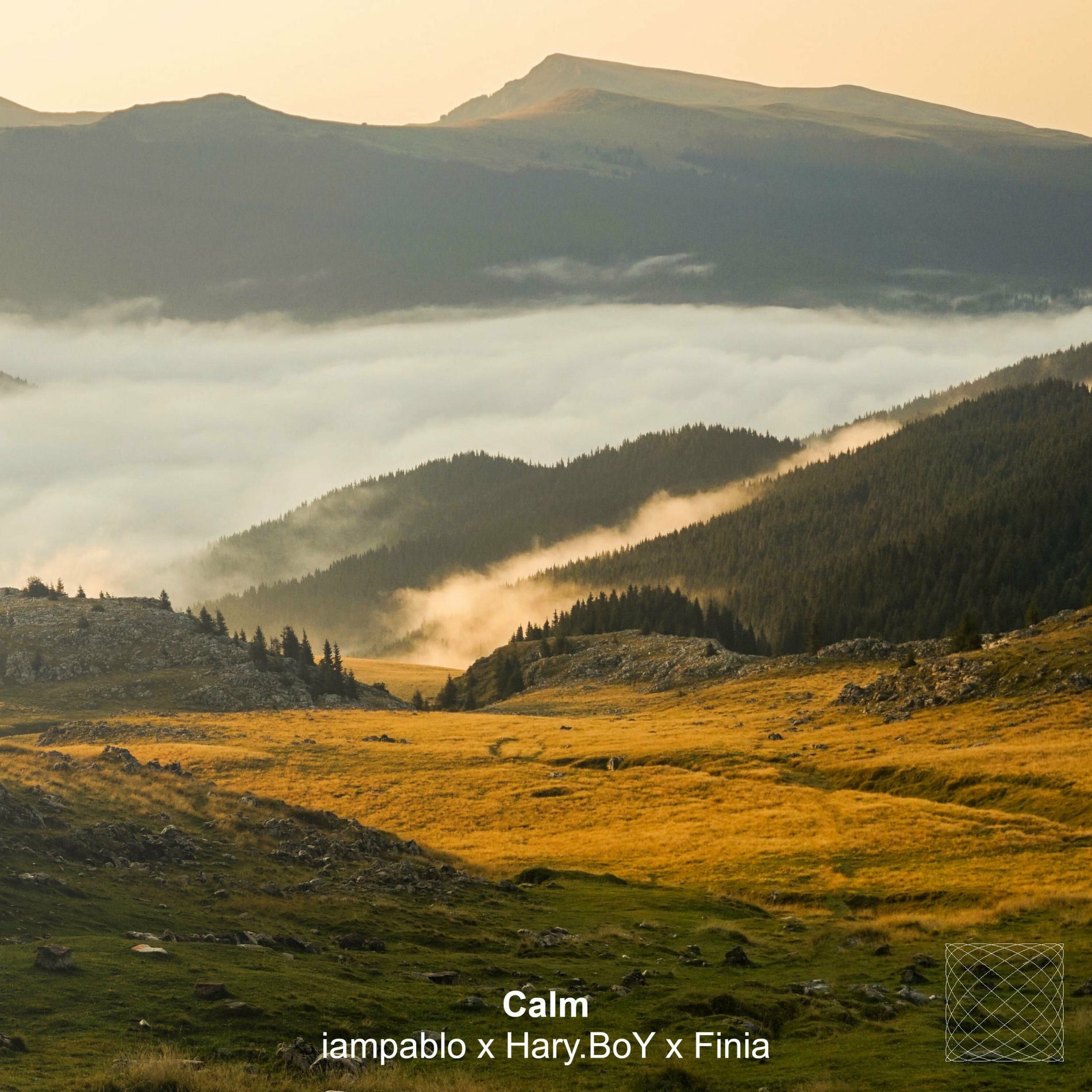 Album cover of Calm (feat. Hary.Boy & FINIA)