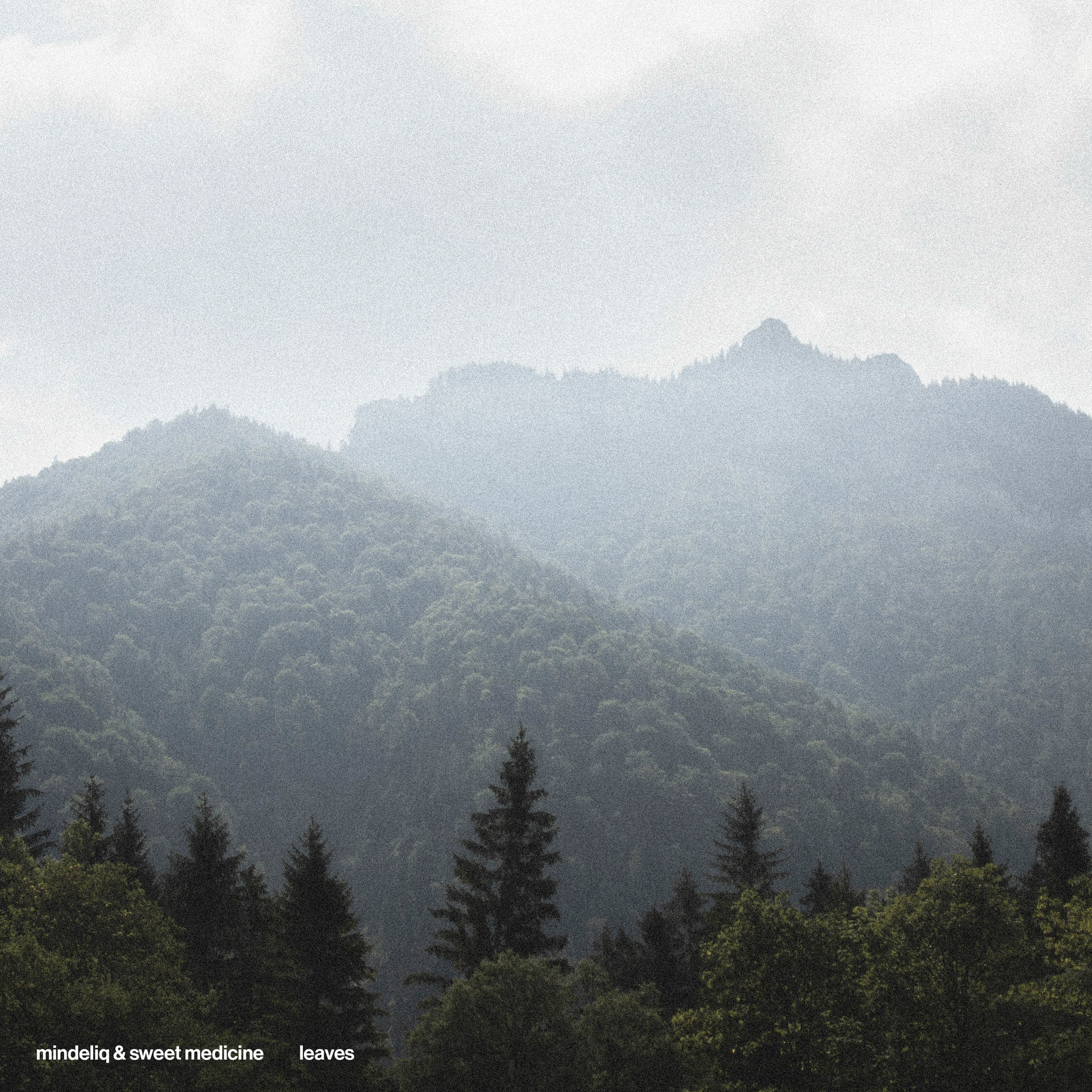 Album cover of Leaves