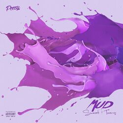 Cover of Mud Sweat & Tears