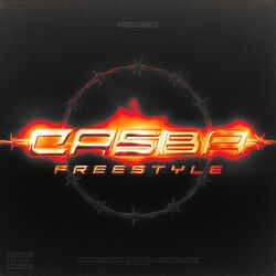 Cover of CASBA