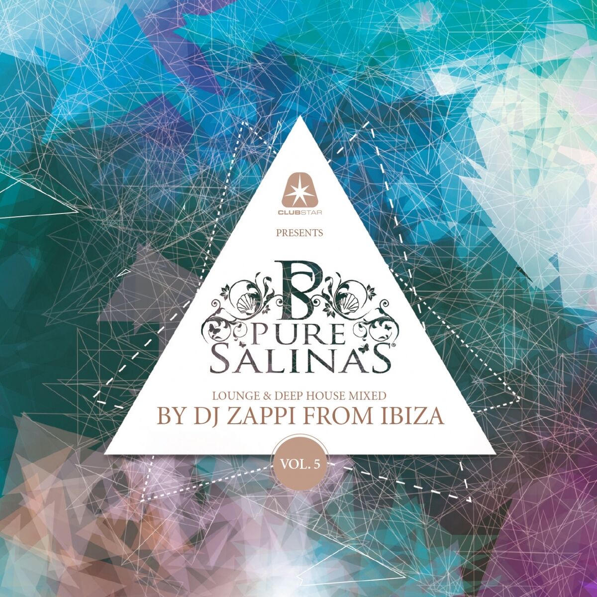 Album cover of Pure Salinas, Vol. 5 (Compiled by DJ Zappi)