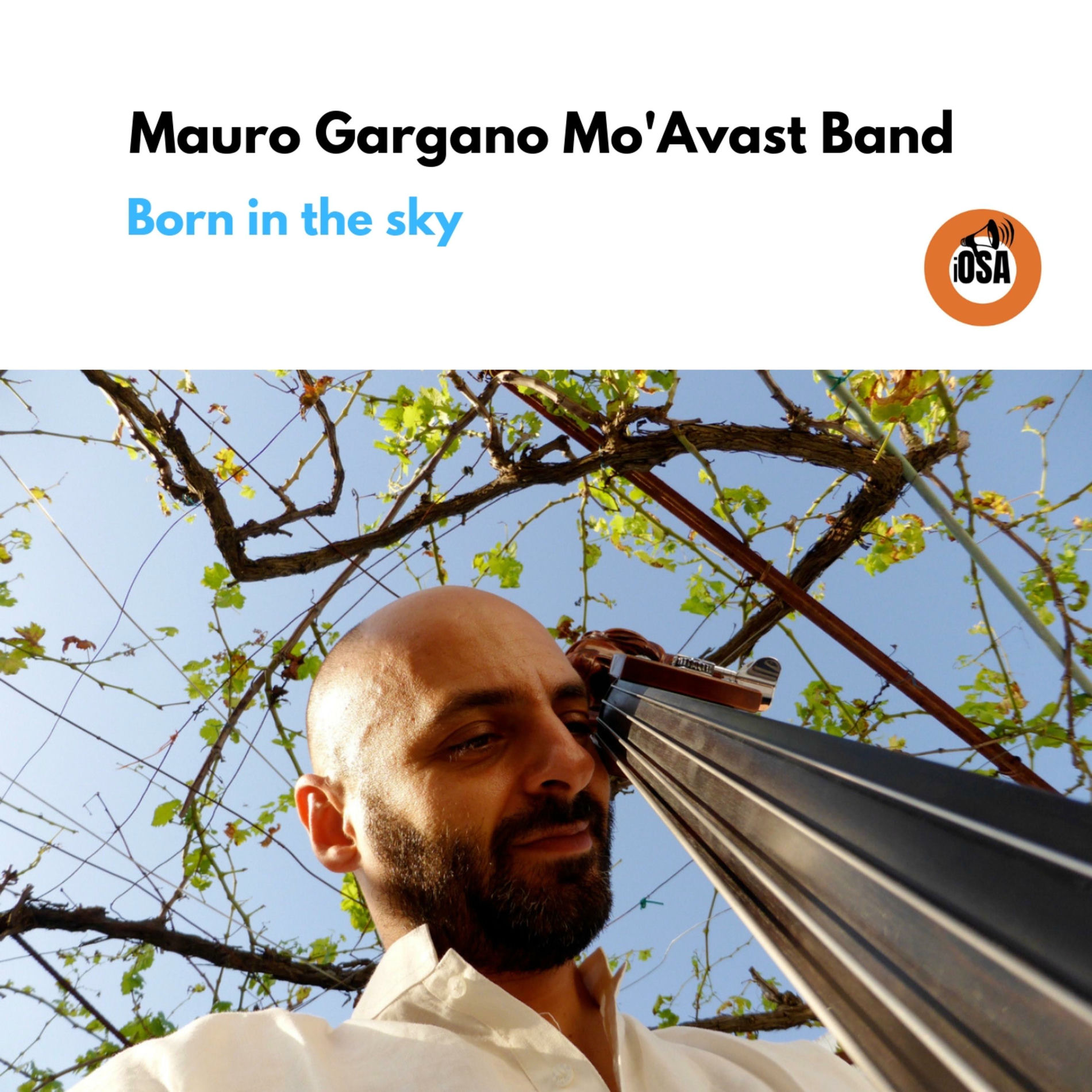 Album cover of Born in the Sky