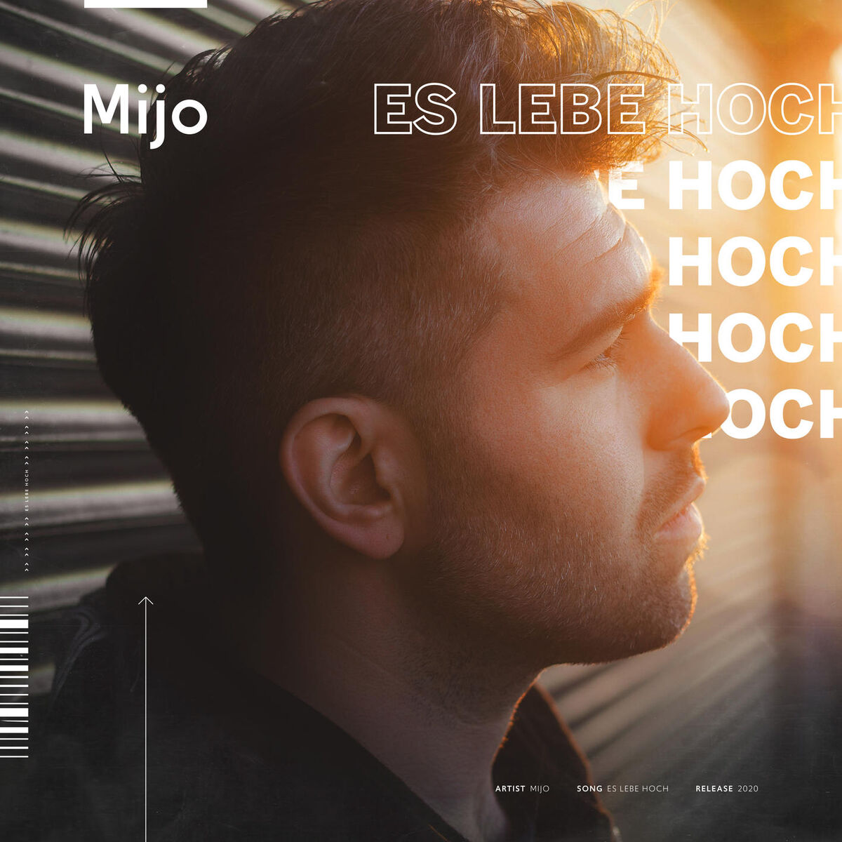 Album cover of Es lebe hoch