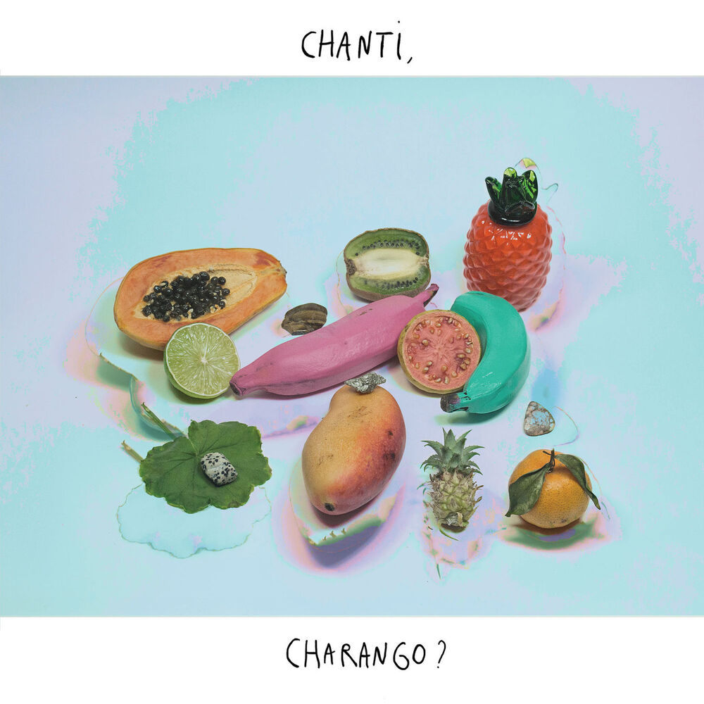 Picture of Chanti, Charango?