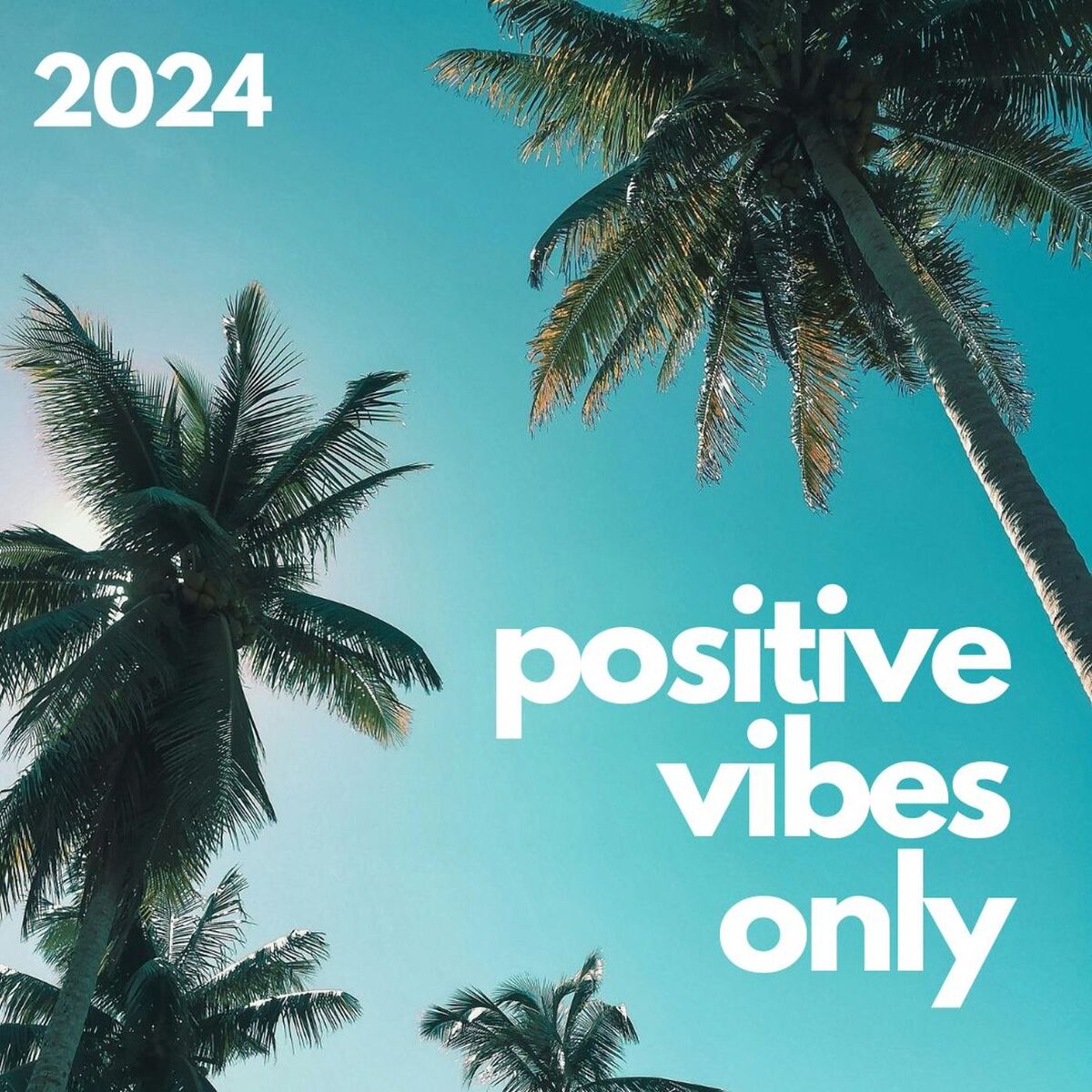 Album cover of Positive Vibes Only 2024