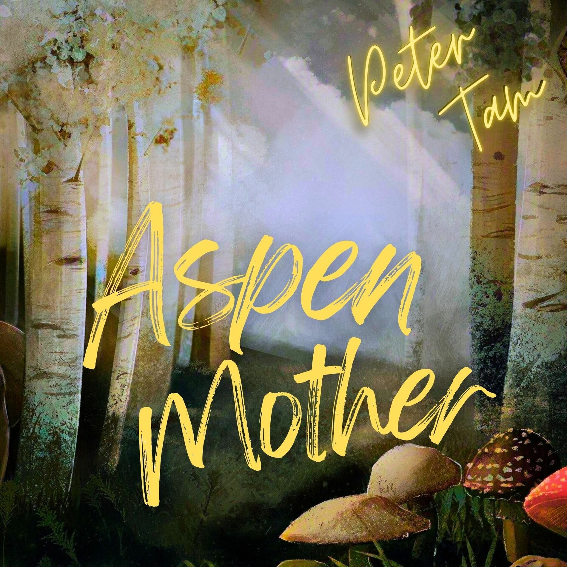 Album cover of Aspen Mother