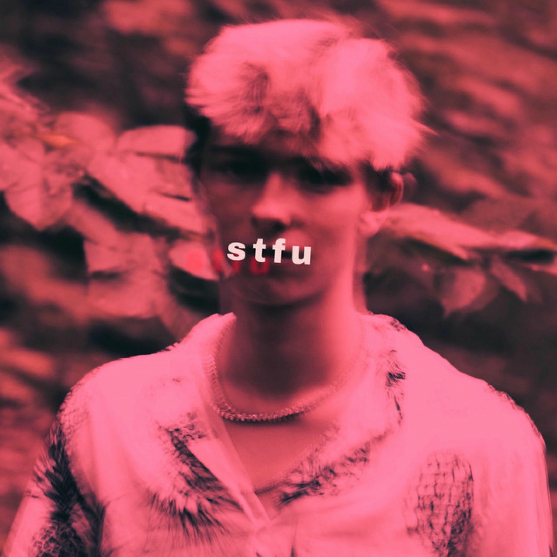 Album cover of Stfu