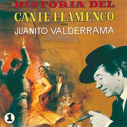 Cover of Historia del Cante Flamenco, Vol. 1