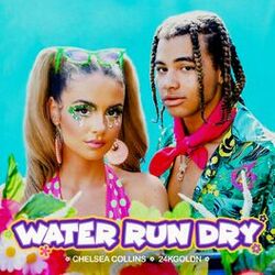 Cover of Water Run Dry